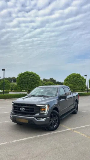 Used Ford F-150 in Muscat