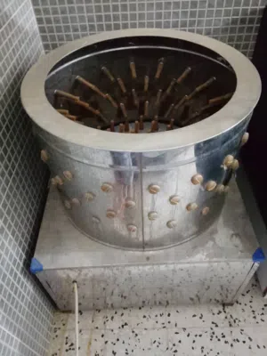 رياشة شبه جديدة