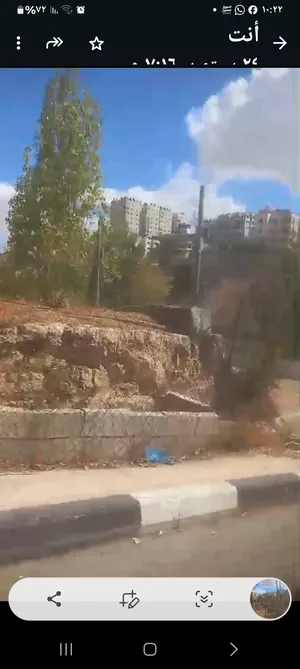 زراعية . 160 دونم . الوسيط2