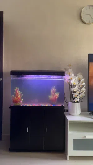 حوض سمك كبير