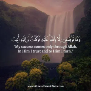 member163445772034 amirul Islam