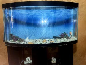 حوضين سمك للبيع للجادين فقط