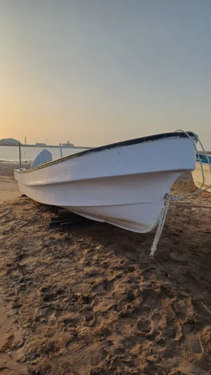 قارب 23 قدم