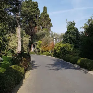 bodagga 