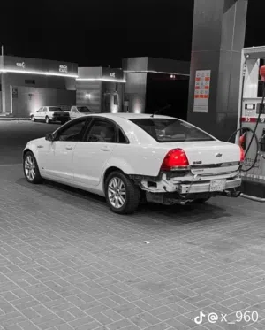 محمد الغابشي 