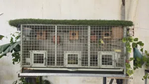 Custom Made Bird cage with egg nests