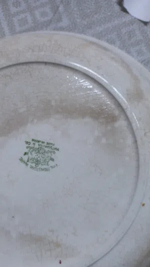 صحن ابواسد اصلي مختوم بس يبي اي تنضيف مخزن