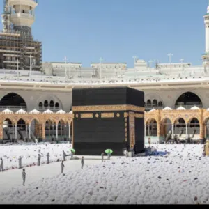 محمد علي الحاج 