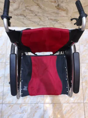 مقعد ذوي الاحتياجات الخاصة