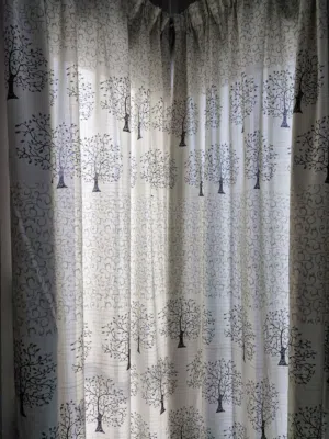 2 SETS Double Layer Curtains with rods, rings and ties