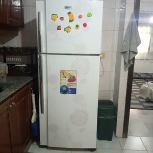 Kelvinator Refrigerators in Jbeil