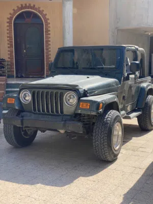 جيب رنقلر2004