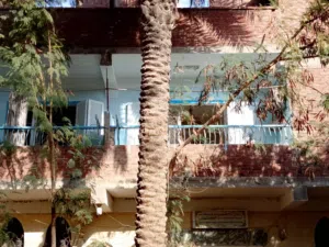 260 m2 More than 6 bedrooms Villa for Sale in Zagazig Other