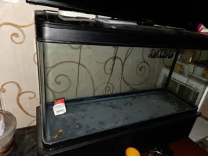 حوض الاسماك صغيره ومتوسطة مع كبت