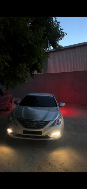 سوناته 2013