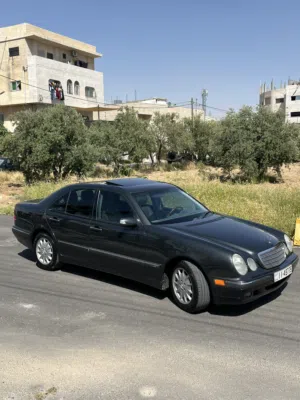 قرش ونص كرتونه