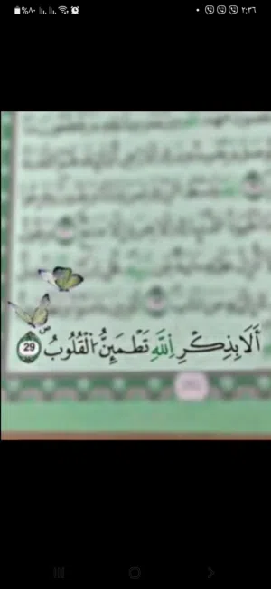 محمد 