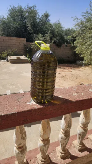 زيت زيتون الجبل الغربي