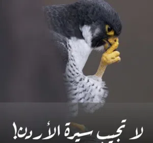 صيانة الأجهزه