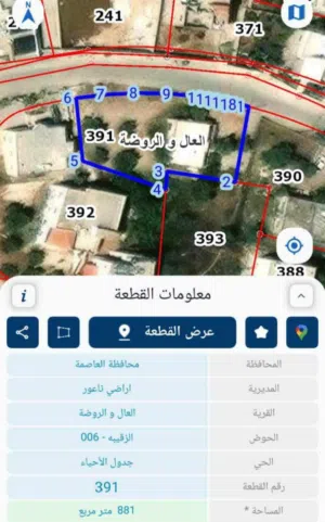 100 m2 4 Bedrooms Townhouse for Sale in Amman Naour