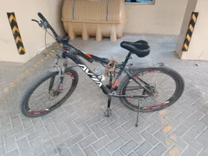 29 inch bicycle