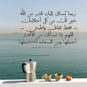 عامر 