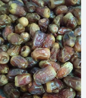 تمور نصف جاف وجاف لرمضان السعر مفاجأة