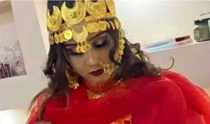 Hair Accessories . New2