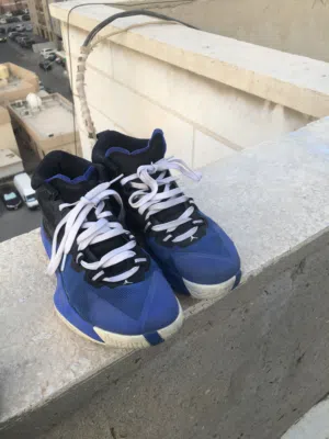 Jordan Zion 1 (negotiable)