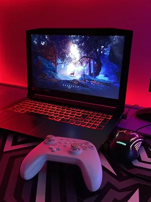 Acer Nitro5 Gaming Laptop