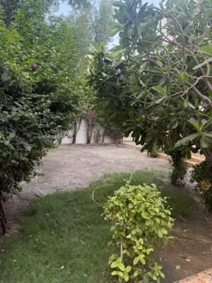 For rent villa in Mangaf with private garden and lift