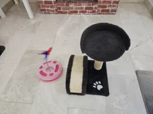 Used Cat bed and Toy