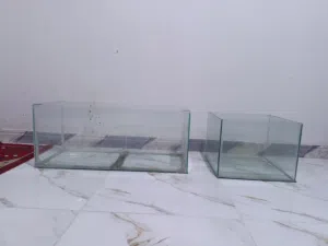 احواض سمك مال تعزيله محل متر ونص متر