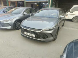 New BYD Other in Zarqa