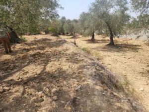 قطعه ارض للبيع قرب الاستخبارات