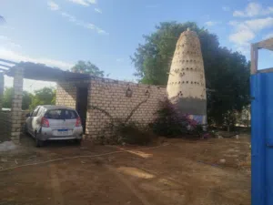 للبيع مزرعه مانجو 2.5 فدان مثمره عمرها 10 سنوات قريه محمد عبده طريق نفق الشهيد احمد حمدي