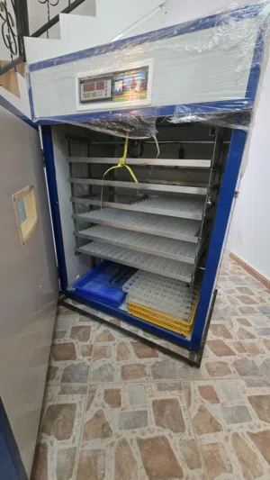 فقاسة بيض صينية سعة 1056 بيضة 1056 دجاج