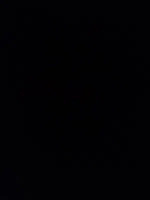 محمد علاء ابو حاتم 