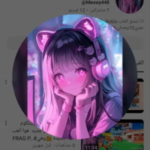Meowy 