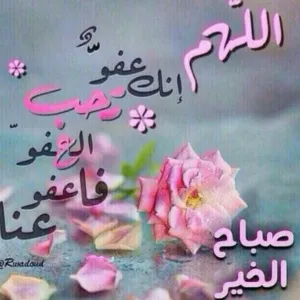 ربي اشرح لي صدري ويسرلي امري 