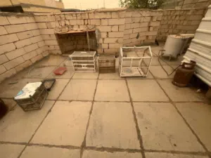 اقفاص بلابل طيور حب