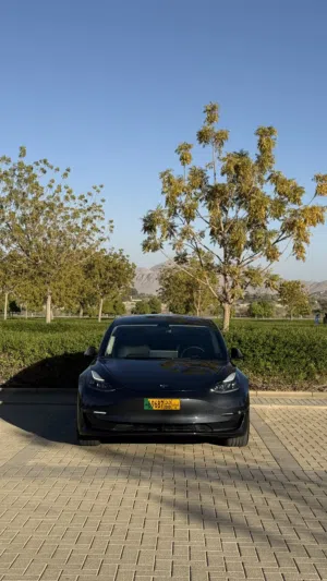 Tesla Model 3 Performance موديل 2022