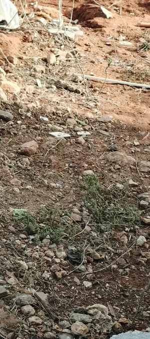 ‏الاستخدام المتعدد ‏.‏ 4000 م٢ ‏.‏ المالك‏2