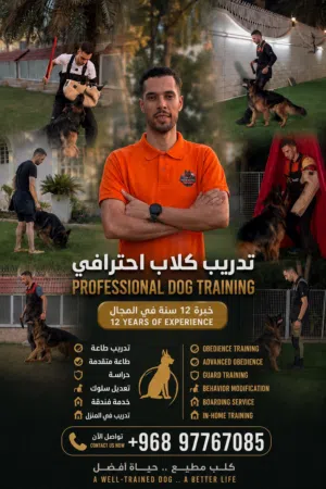خدمة تدريب كلاب /Dog training service