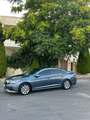 Used Hyundai Sonata in Amman