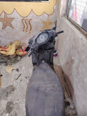 شصيات للبيع