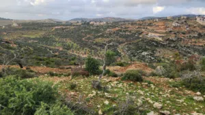 كوبر/ أرض للبيع من المالك مباشره