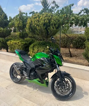 كوزاكي-z300