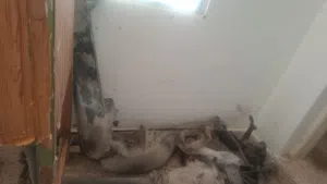 Used0