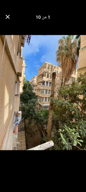 70 m2 2 Bedrooms Apartments for Rent in Alexandria Tosson